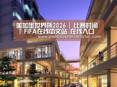 案例展示一(图1)