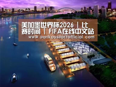 案例展示八