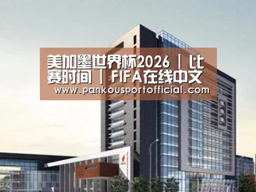 案例展示七