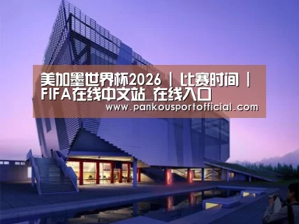 案例展示六