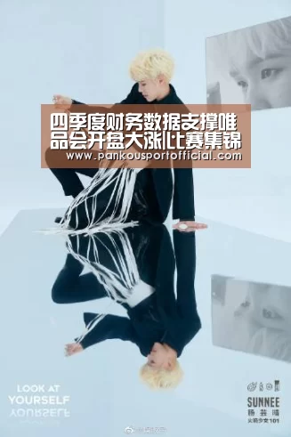 四季度财务数据支撑唯品会开盘大涨|比赛集锦(图1) 淘汰赛