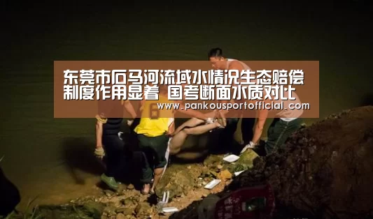 比赛集锦