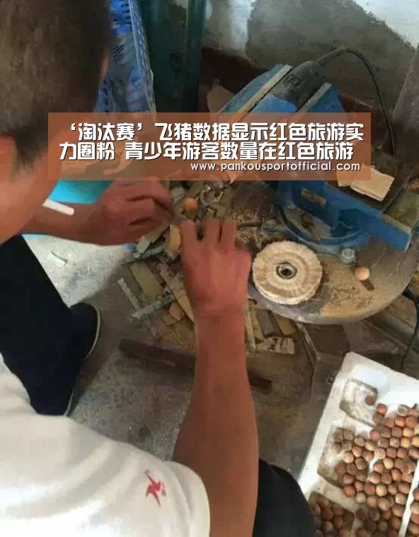 ‘淘汰赛’飞猪数据显示红色旅游实力圈粉 青少年游客数量在红色旅游人数占比中逐年增加(图3) 球队名单