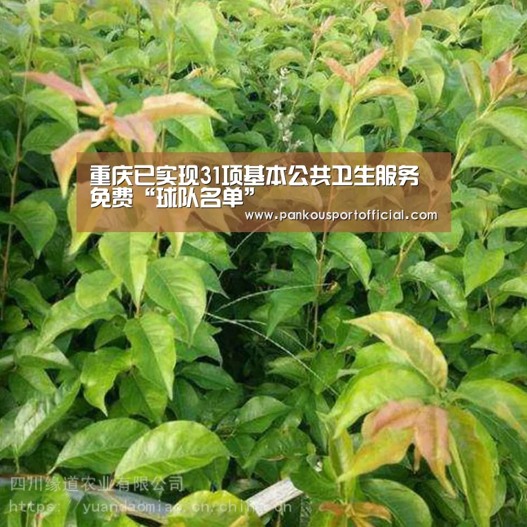 重庆已实现31项基本公共卫生服务免费“球队名单”(图1) 球队名单