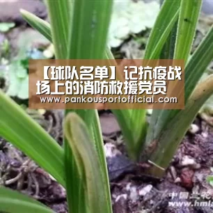 比赛集锦